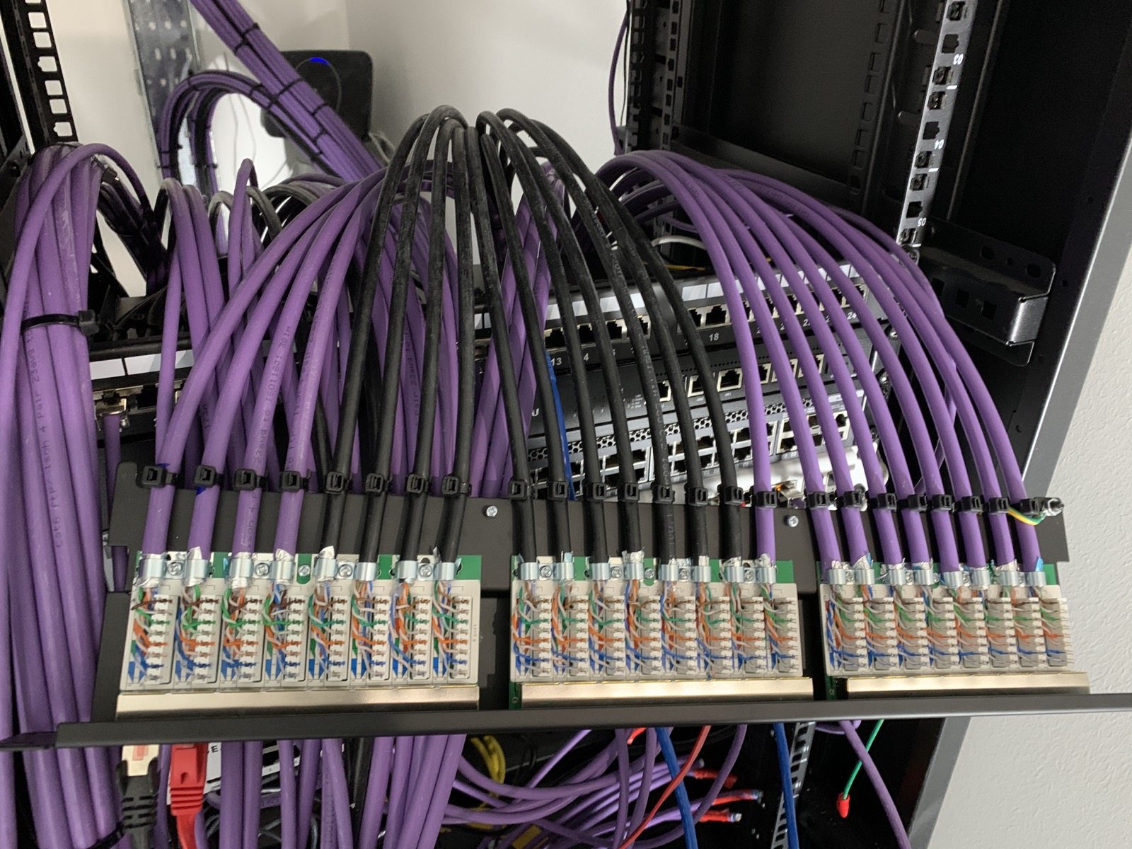 Cat6 structured cabling terminated in a comms cabinet